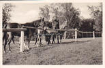 Offenhausen / Gomadingen Ansichtskarte / Postkarte / Zulu War Dance -