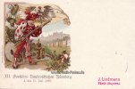Nürnberg(8500) Gansachen-Karte/XII Deutsches Bundesschießen Nürnberg 4.bis 11.Juli 1897. -