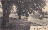 Warendorf / Westfalen Ansichtskarte / Postkarte / Emspartie mit Mühle -