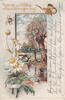 Deutsches Reich 1901 Ansichtskarte / Postkarte / Pr&auml;gekarte / Spinne am ... 5,00 EUR  + 8,00 EUR frais d'envoi