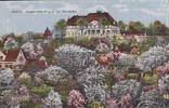 Guben 1925 Ansichtskarte / Postkarte / Engelmanns Berg in der Baumbl&uuml;te 2 6,00 EUR  + 8,00 EUR frais d'envoi