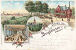 Hildesheim Lithografie/Gruss vom Berghölzchen bei Hildesheim -