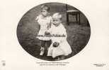 Deutsches Reich Ansichtskarte/Postkarte/Erbgroßherzog von Mecklenburg-Schwerin und Prinz... -
