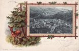 Schönau Prägekarte mit aufgeklebtem Bild/Schönau. -