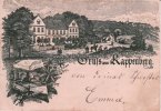 Cappenberg/Selm Vorläufer-Litho/Gruss aus Kappenberg./Zum Kappenberger Hof. F. W. Lönne. -