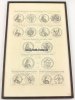 Würzburg/Augsburg/Regensburg Münzen/Numismatik/Graphik-Tafel/gerahmt -