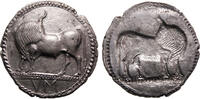 Greek coins Lucania Sybaris -