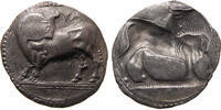 Greek coins stater Lucania Sybaris -