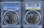   1923 American Peace Dollar Silver Coin PCGS Certified MS64  144,69 EUR  + 40,19 EUR frais d'envoi