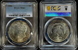   American Morgan Dollar Silver Coin 1886 MS-62 PCGS  109,86 EUR  + 40,19 EUR frais d'envoi