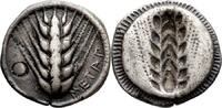 Ancient Greek Drachm Lucania, Metapontum. Drachm -