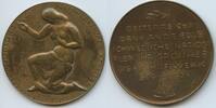 Österreich - Schweden Große Bronzemedaille Dankmedaille GN1307 - Österreichisches Schwedendank Komitee -