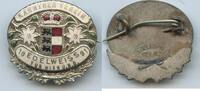 Österreich Kärnten Abzeichen Anstecknadel A1149 - Kärntner Verein Edelweiss 1891 für Wien und NÖ -