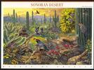 USA USA Nr. 3100-3109 Folienbogen postfrisch 1999 - Sonoran Desert Naturlandschaften -
