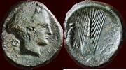 AE Obolos LUCANIA, METAPONTION (METAPONTUM) - 425-350 BC -