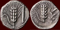 LUCANIA, METAPONTION (METAPONTUM) - AR Nomos or tridrachm, circa 440-430 BC -