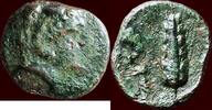 AE LUCANIA, METAPONTION (METAPONTUM) - AE 14, 300 - 250 BC -