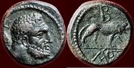 AE KINGDOM GALATIA - AMYNTAS, 36-25 BC - AE 20 -