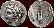 LUCANIA, METAPONTION (METAPONTUM) - AR Nomos of tridrachm, circa 290 - 280 BC -