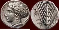 LUCANIA, METAPONTION (METAPONTUM) - SINGED WORK BY THE ARTIST ARISTOXENOS - AR Nomos or tridrachm, circa 375-350 BC -