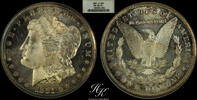 USA 1 MORGAN DOLLAR 1881 Silver Morgan dollar 1881 S (SAN FRANCISCO) NGC... 1050,00 EUR  + 40,00 EUR frais d'envoi