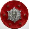 Israel plakette -