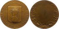 Kunstmedaillen Bronzemedaille Pillet, Charles -