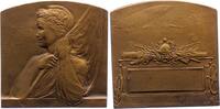 Luft- und Raumfahrt Bronzeplakette -