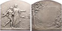 Kunstmedaillen Bronzeplakette Dubois, Henri -