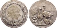 Nürnberg-Stadt Versilberte Bronzemedaille -