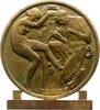Kunstmedaillen Einseitige Bronzegussmedaille Dropsy, E. -