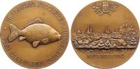 Nürnberg-Stadt Bronzene Preismedaille -