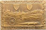 Tschechien-Brünn, Stadt (Brno) Einseitige Bronzeplakette -