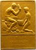 Bienen Einseitige Bronzeplakette Frankreich -