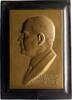 Medicina in nummis Einseitige Bronzegussplakette Meller, Dr. J. *1879 Stein an der Donau (zu Krems gehörend), +1958 Wien, berühmter österreichischer Ophthalmologe (Augenheilkund -