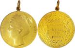 Netherlands Medal Queen Wilhelmina – Gold Prize Medal, Concours Hippique - By P. Pander -
