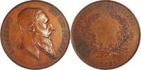 Belgium (Antwerp) Historical medal Leopold II - National Exhibition award - C. Wiener -