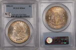 USA Dollar 1884-O Morgan Silver  $1 PCGS MS-64 Toned (Better Coin) (7O) ... 276,35 EUR  + 21,47 EUR frais d'envoi