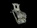 R&ouml;mische Doppeldelphin-Fibel  ~2.-3. Jh. teils verzinnte Oberfl&auml;che. Sel... 75,00 EUR  + 9,00 EUR frais d'envoi