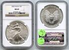 Anlagemünzen Dollar American Eagle 1 oz Silver NGC MS 69 Certified Bullion - P174 -