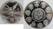Weltmünzen Mexico Libertad 2oz Onzas .999 Silver Coin Moneda Plata - RK314 -
