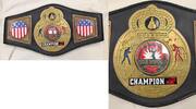 Other Ringside Boxing Championship Belt Award Professional - JK163 -