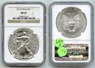 Bullion Dollar 2013 American Eagle 1 oz Silver  NGC MS69 Certified US Mi... 77,47 EUR  + 23,20 EUR frais d'envoi