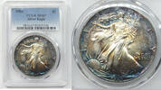 Bullion Dollar 1988 American Eagle 1 oz Silver  PCGS MS67 Toning Toned B... 430,38 EUR  + frais d'envoi