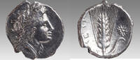 LUCANIA, Metapontion. Circa 330-290 BC. AR Nomos (22mm, 7.53 gm). Wreathed head -