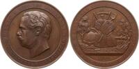 Portugal, Stadt Lissabon Große Bronzemedaille Luiz I., 1861 - 1889, Landwirtschaftliche Ausstellung, Korngarbe, Bienenkorb -