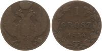 Polen unter Russland 1 Grosz Nikolaus I., 1825 - 1855, Warschau -