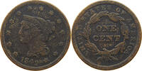 USA LARGE CENT BRAIDED HAIR -