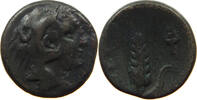 ANCIENT GREECE LUCANIA AE LUCANIA METAPONTUM CORN HERACLES -