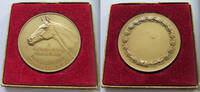 Deutschland Medaille Wildbergerhütte 1948 -